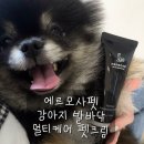 펫케어 | 에르모사펫 강아지발바닥 멀티케어 펫크림 후기 / 완전 무향이라 더 마음에 들어!