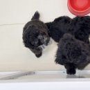 키즈멍 안양본점 이미지