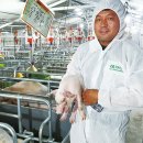 송학농장 이미지