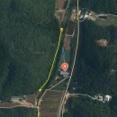 큰맘할매순대국 영월남면점 이미지