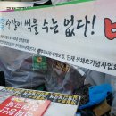 영일분쇄 Daum카페