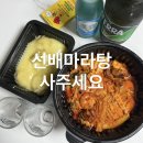 청주 봉명동 맛집 l 선배마라탕사주세요 로제마라샹궈 크림새우 내돈내산 후기