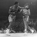 (주)연합전설 이미지