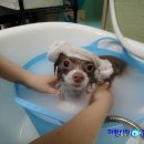 부산마이크로병원 이미지