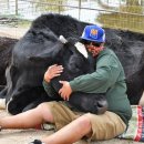 안고농장 이미지