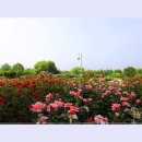 곡성-089 이미지