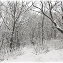 부평무도장 이미지