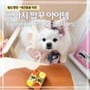 고려수제약 | 강아지 화식 추천｜푸치푸치 수제간식 치킨 휘낭시에 밥꾸 후기