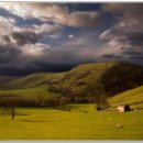 생성-natural 이미지