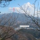 [국도37] 금산군 요광리 이미지