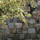 동성인력공사 이미지