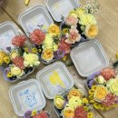 세중초교 병설유치원 이미지