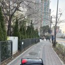 푸른샘어린이집 | 육아일기_봄 놀이터 근황, 두찌 발달 상황(25.4.9)