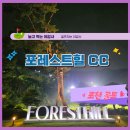 파인밸리 컨트리클럽 | [포천 포레스트힐CC] 야간 라운딩 후기(산사태 수리지있음)