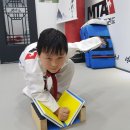 용인대 청목 mta 태권도 이미지