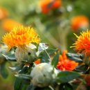 한반도 리버펜션 이미지