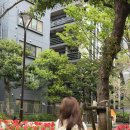 부산여인숙 | 도쿄 여행 코스 - 구 이와사키 저택 정원, 유시마 천만궁, 신화공원, 우에노 놀거리 추천