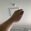 다인산부인과의원 | [경기/오산 우먼필산부인과] 5박 6일 제왕절개 후기