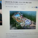 둔내 웰리힐리파크에 대규모 워터파크 건설 이미지