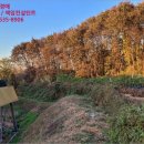 가덕1리 마을회관 이미지