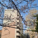 후암공인중개사사무소 이미지