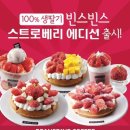 빈스빈스