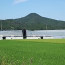 하송농장 이미지