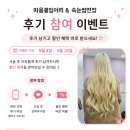 따옴붙임머리 | 🌿2026년 5월 따옴붙임머리 & 속눈썹 연장 후기 참여 이벤트 🌿