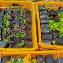 무전동주민센터 이미지