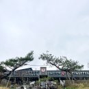 팔봉짬뽕 | 서산 짬뽕 맛집 ‘수타명가 지흥선푸드빌리지’ 솔직후기