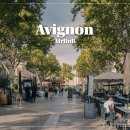 남지지 | 남프랑스 여행 아비뇽 숙소 후기 투어 정보