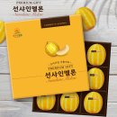 햇살디자인 이미지