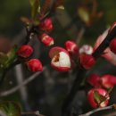 명자농장 이미지