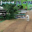 놀다가개 이미지