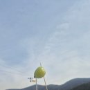 서앤리 샤인머스캣 캔 구매후기 답례품 직장동료들 선물로 최고 어린이집 선물로도 좋을 것 같아요