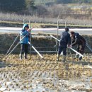 죽장면 참느리 이미지