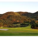 신원대로-4 이미지