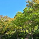 엄지점빵 이미지