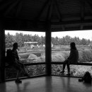 추억정원 이미지