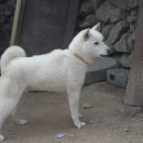 명창농장 이미지