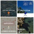 솜띠 | 이웃소개팅 새로운 이웃을 모십니다(1명)