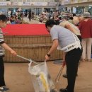 강진읍 시장 이미지