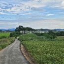 대서면사무소 이미지