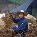 불은농약 이미지