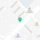 낭만펫 강아지분양 고양이분양 대전 본점 이미지