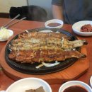 돌못농장 Daum카페