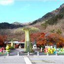 강천산 길 이미지