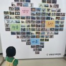 단양도서관 | 단양 올누림도서관 공동육아나눔터 후기