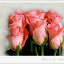 사랑과행복공인중개사사무소 이미지