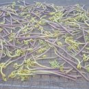 기만농장 이미지